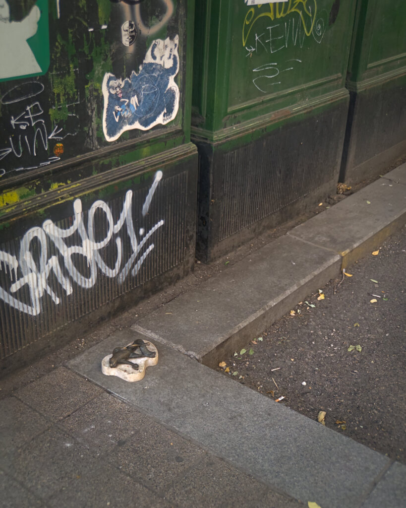 024_dead_squirrel_01