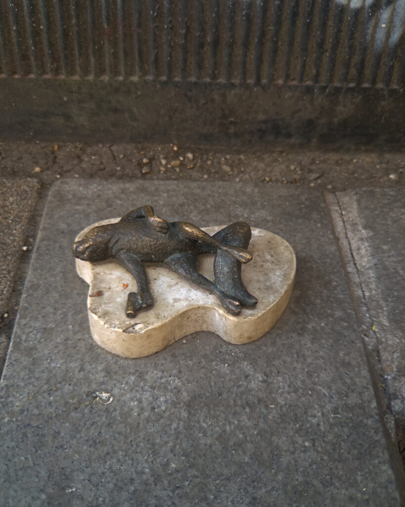 024_dead_squirrel_02