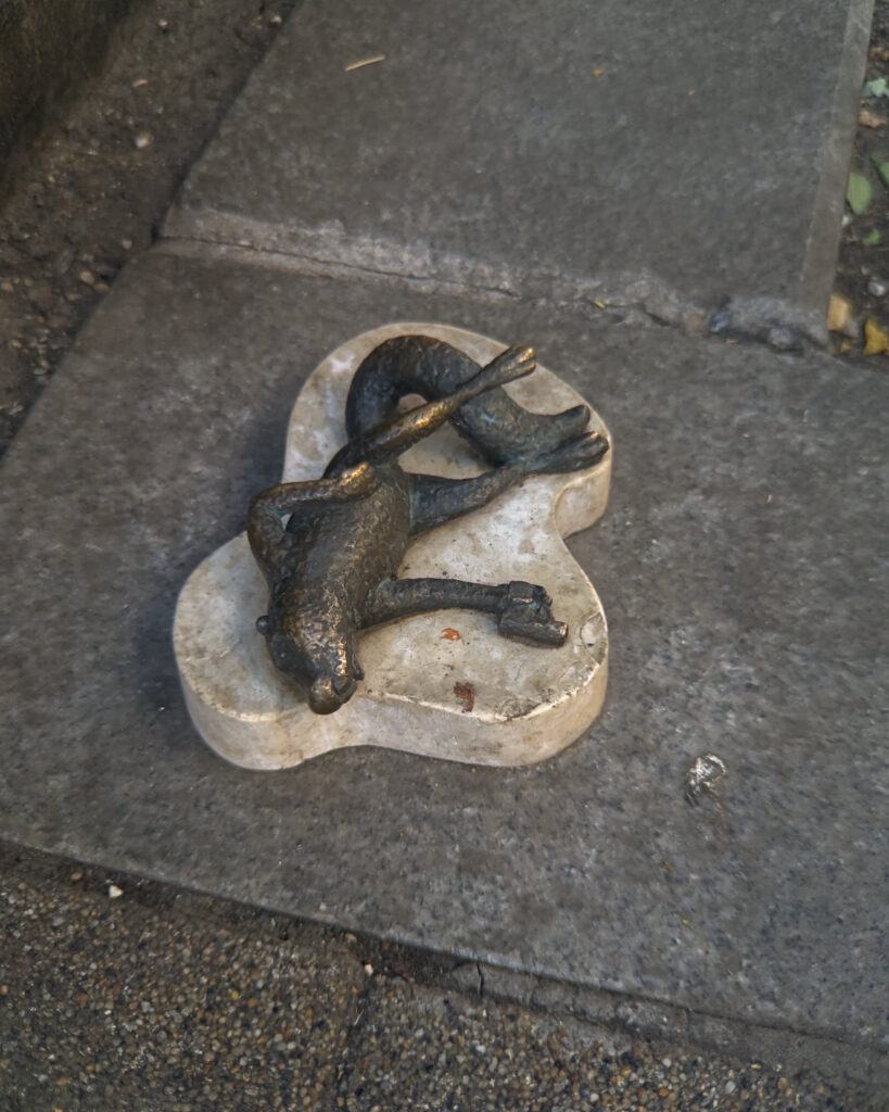 26_dead_squirrel_03